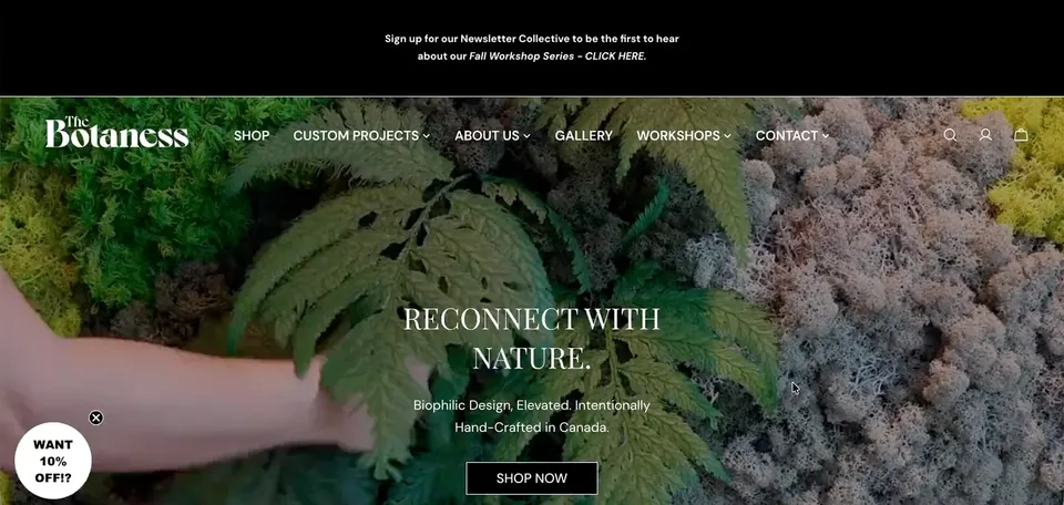The Botaness Shopify storefront homepage